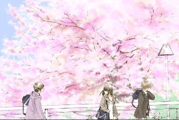 暗网永久破解版